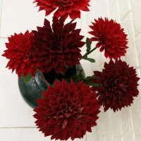 گل کوکب ۶ بوته|گل مصنوعی|لاهیجان, کوی آزادگان|دیوار