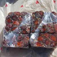 خرمای کبکاب درجه یک خشت