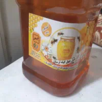 عسل چهل گیاه بهاره چهار محال و بختیاری|خوردنی و آشامیدنی|مشهد, شهرک ابوذر|دیوار