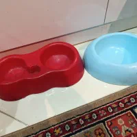 ظرف غذا حیوانات،گربه