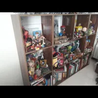 قفسه خاطرات