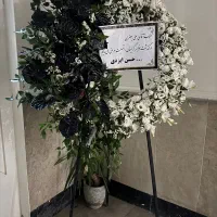تاج گل|گل و گیاه طبیعی|تهران, دکتر هوشیار|دیوار