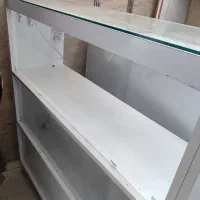 قفسه تروتمیز،میز پیشخوان،رگال|فروشگاه و مغازه|قم, پردیسان|دیوار