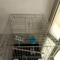 قفس بزرگ پرنده