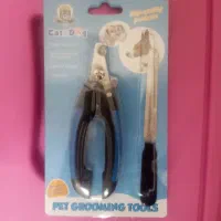 میکس اشپیتز سه ماه ونیمه پسر|سگ|مشهد, شهید بصیر|دیوار