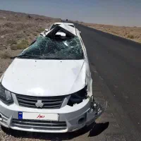 ساینا تصادفی
