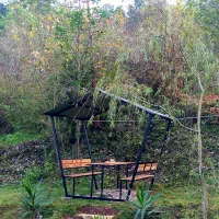 ساخت و فروش آلاچیق|مصالح و تجهیزات ساختمان|ماسال, |دیوار