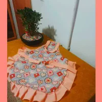 دوخت لباس|لباس|بجنورد, |دیوار