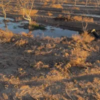 باغ پسته|فروش دفتر صنعتی، کشاورزی، تجاری|سبزوار, قصبه شرقی|دیوار