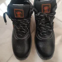 کفش ایمنی وکار