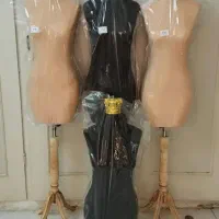 فطلندی و قفسه رگال دار ۳۲ رخت