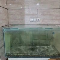 اکواریوم