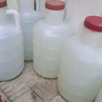 دبه خیاشو سالم و تعداد زیاد