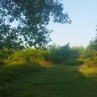ویلایی استخر دار سندجاده انزلی کوچه مجاور سیتادیوم