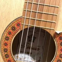 گیتار|گیتار، بیس، امپلیفایر|قم, منبع آب|دیوار