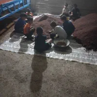 خرید و فروش زرشک