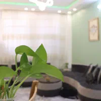 اجاره ی سویت و آپارتمان مبله در همه مناطق تهران|اجارهٔ کوتاه‌مدت آپارتمان و سوئیت|تهران, دانشگاه شریف|دیوار