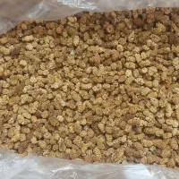 توت خشک 400کیلو صادراتی به قیمتعمده کیلوی300تومان|حراج|اهواز, چهارصد دستگاه|دیوار