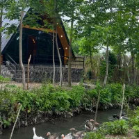 کلبه سوئیسی نوساز لب رودخانه در ماسال|اجارهٔ کوتاهمدت ویلا و باغ|ماسال, |دیوار