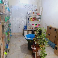 مغازه|اجارهٔ مغازه و غرفه|مشهد, ایثارگران|دیوار