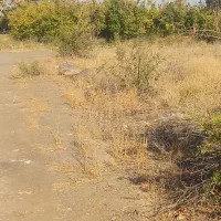 زمین باغی۳۰۰۰متردرروستای اندیس