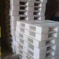 خرید وفروش پالت  چوبی وپالت  پلاستیکی و سلفون|عمده‌فروشی|قم, جمکران|دیوار