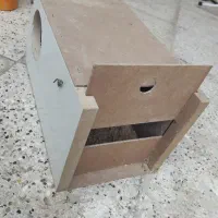 لانه عروس هلندی