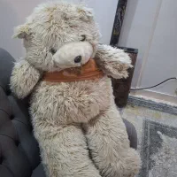 در حد نو تمیز