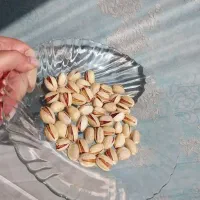 طعم واقعی پسته ایرانی رو امتحان کن.|خوردنی و آشامیدنی|پاکدشت, پاکدشت (مامازند)|دیوار