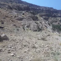 کهره