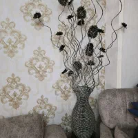 کنار سالنی. سالم