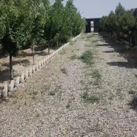 زمین-500-متری-دور-دیوار