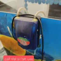آکواریوم وسایل تکمیل|ماهی|قم, نیروگاه|دیوار