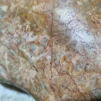 سنگ مشکوک|کلکسیون اشیاء عتیقه|زیباشهر, |دیوار