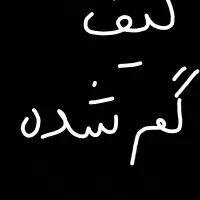 کیف  سبز زنانه گم کردم