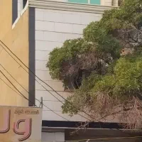 اجاره سوئیت ۳۰ متری طبقه ۱