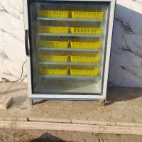 فروش دستگاه جوجه کشی