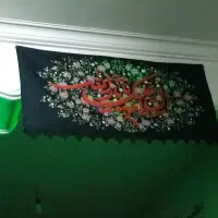 استخدام دفتر پیشخوان