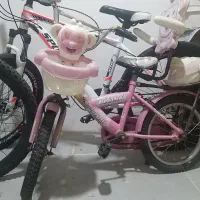 دوچرخه ۱۲و۱۶|دوچرخه، اسکیت، اسکوتر|تربت جام, والفجر|دیوار