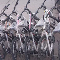 دوچرخه ویوا|دوچرخه، اسکیت، اسکوتر|وحیدیه, |دیوار