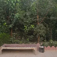 باغ ۱۰۰۰ متری ۴ دیواری|فروش خانه و ویلا|احمدآبادمستوفی, |دیوار