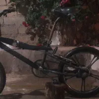 دوچرخه حرفه ای