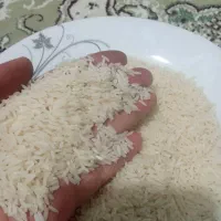 ۱۰۰ کیلو برنج هاشمی درجه یک