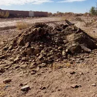 کود گوسفندی