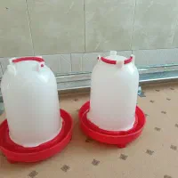 دانخوری وابخوری برای مرغ وخروس