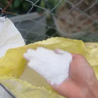 پرلیت شکری گونی