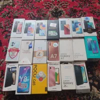 برد وتاچ والسیدی