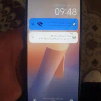 شیامی نوت۱۱ معمولی