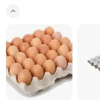 تخم مرغ
