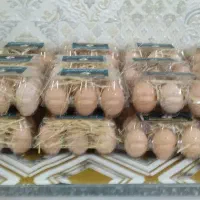 تخم مرغ محلی